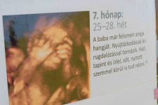 Kép szöveg